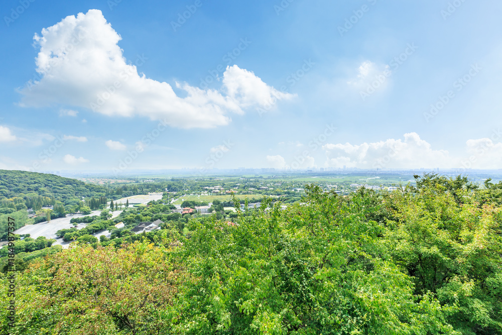 中国上海市郊的住宅楼和绿色森林，鸟瞰图