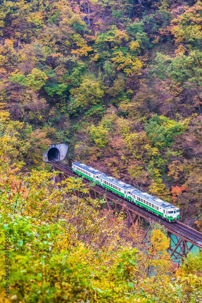 Tadami line at Mishima town , Fukushima in autumn