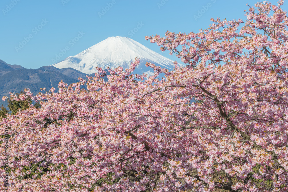 春日的川津坂原和富士山