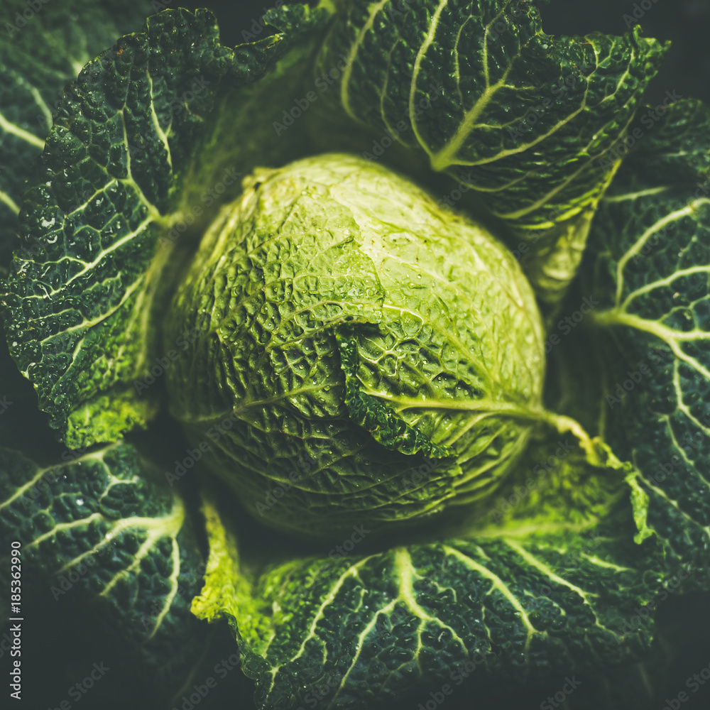 Raw fresh uncooked green cabbage over dark background, top view, selective focus, square crop