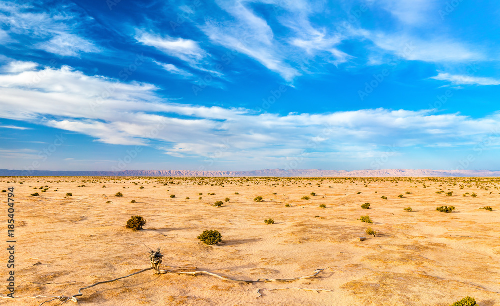 Chott el Djerid，突尼斯的一个干涸的湖泊