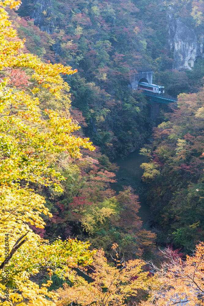 秋天在Naruko峡谷的Rikuu线