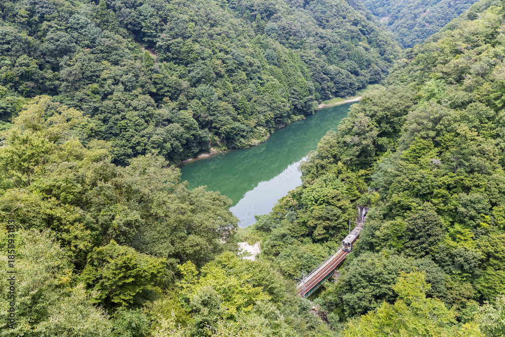 Lida line and green mountain in summer season