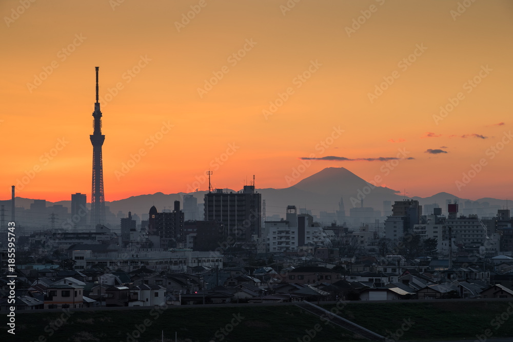 美丽的东京日落城市景观、东京天树地标和冬季日落的富士山