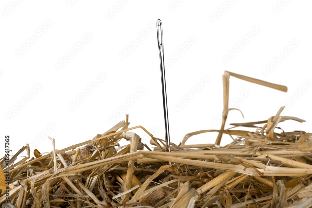 Close-up of a Needle in a Hay