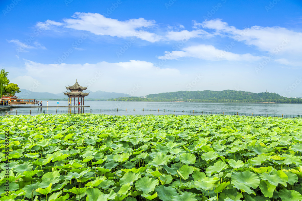 杭州美丽的西湖景观