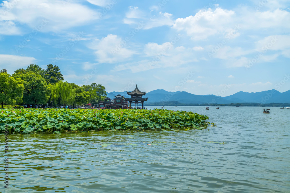 西湖荷花池