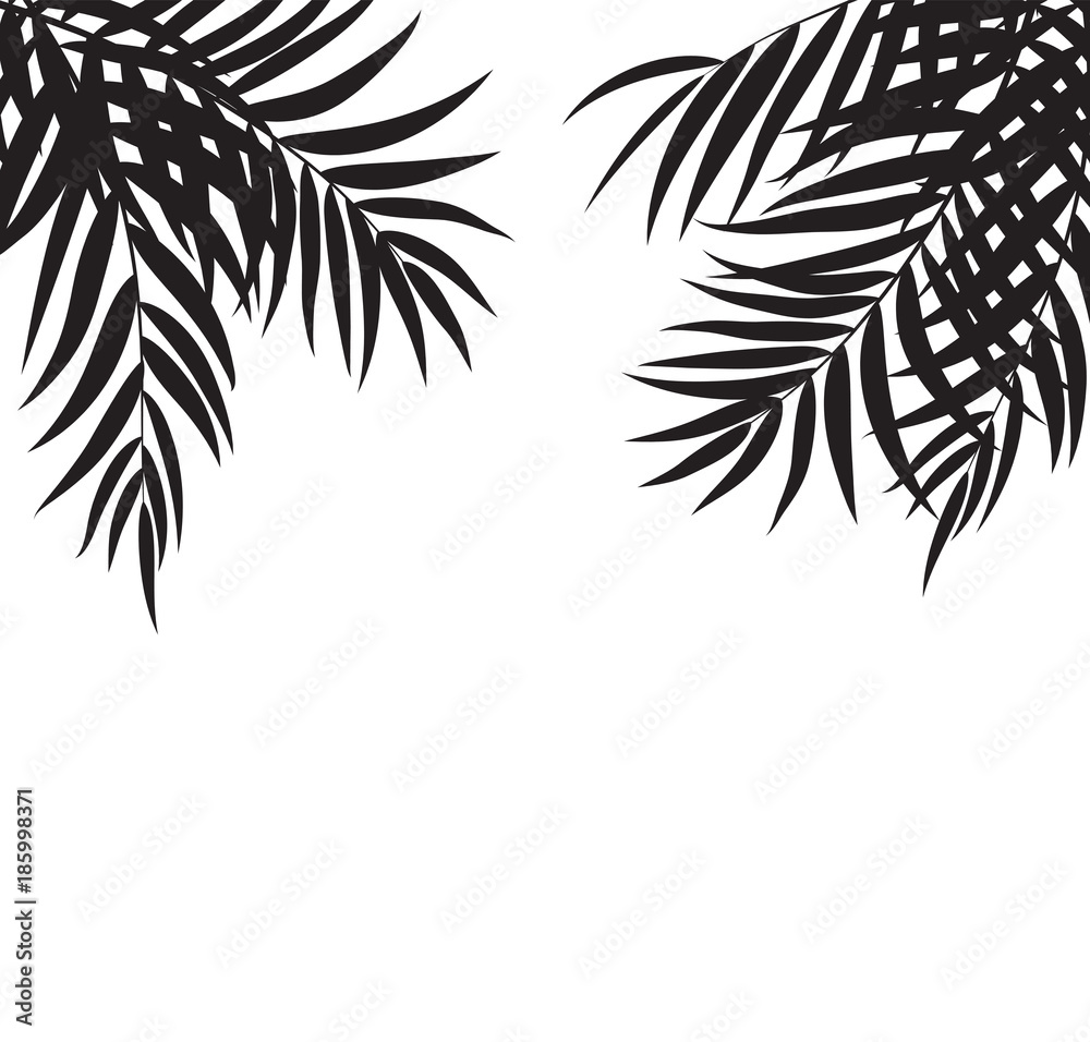 Beautifil Palm Tree Leaf  Silhouette Background Vector Illustration