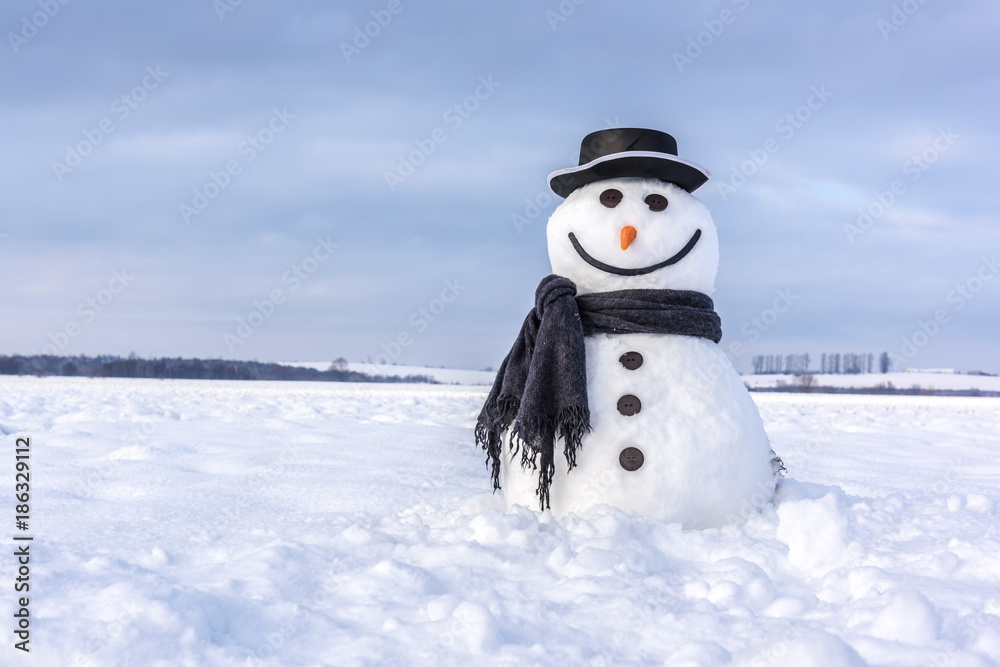 雪地上戴着时髦帽子和黑色鳞片的有趣雪人。圣诞快乐，新年快乐！