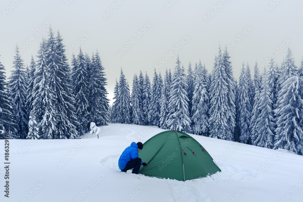 在白雪皑皑的松林背景下，绿色帐篷和游客。令人惊叹的冬季景观。Tou