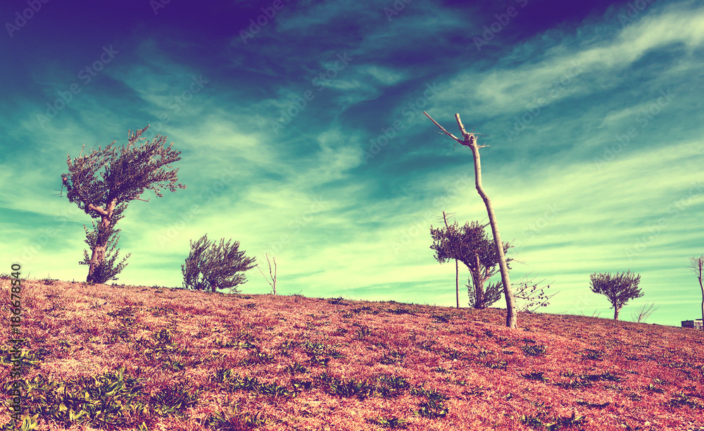 Paisaje en estilo复古。Naturaleza y arboles en tonos复古