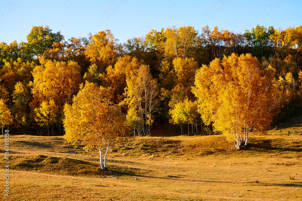 The valley autumn landscape.