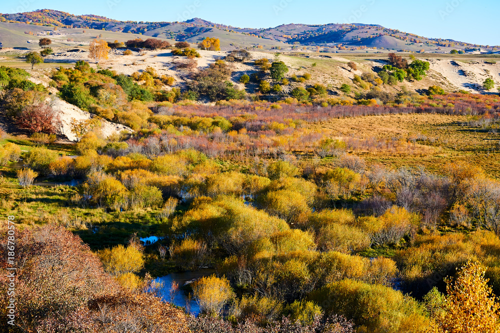 The water and autumn trees.