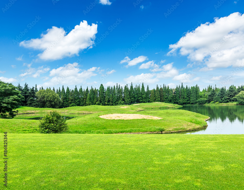 自然公园里绿色的草地和树木，池塘景观，美丽的夏季