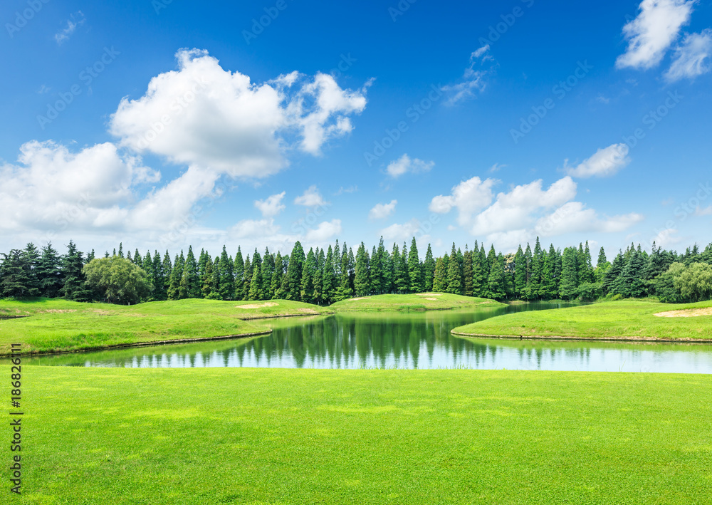 green meadow and trees with pond landscape in the nature park,beautiful summer season