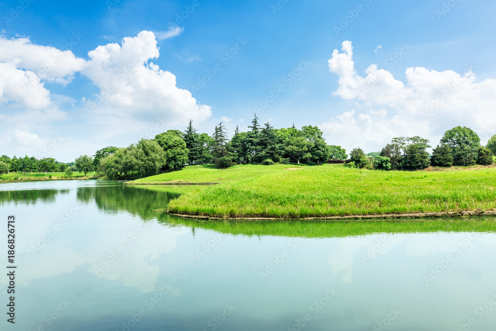 自然公园里绿树成荫，湖光山色，美丽的夏季