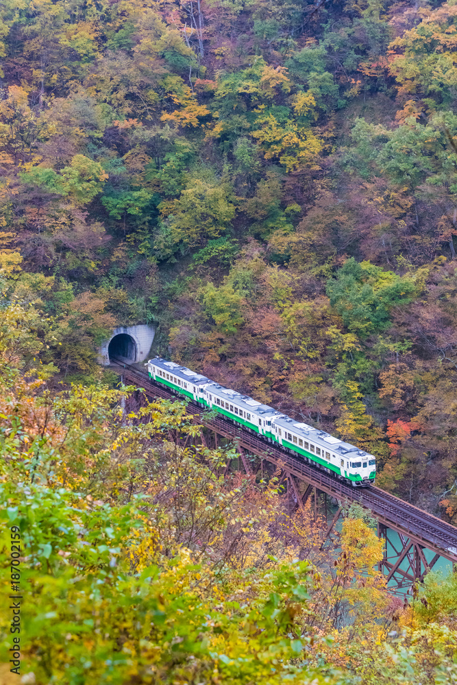 秋日福岛三岛町田见线