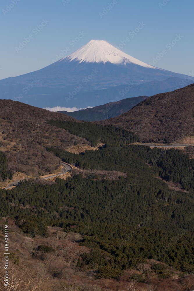 静冈县伊豆市冬季富士山与高山的景色。