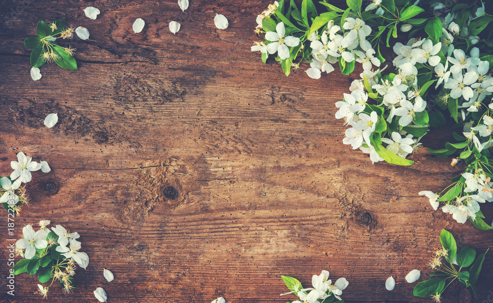 Spring blooming branches on wooden background