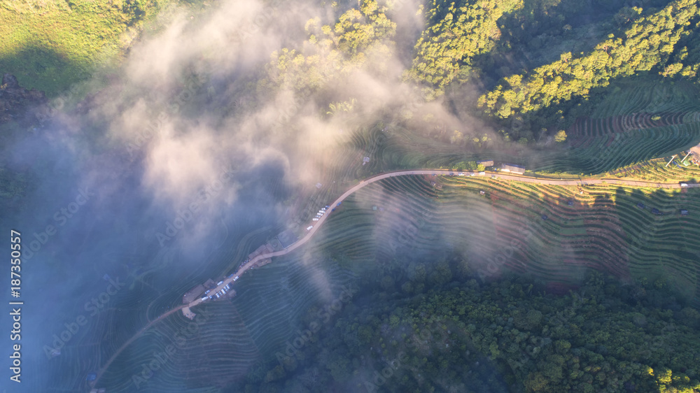 2000年茶园俯视图和Chaing Doi Ang Khang山上漂浮的薄雾