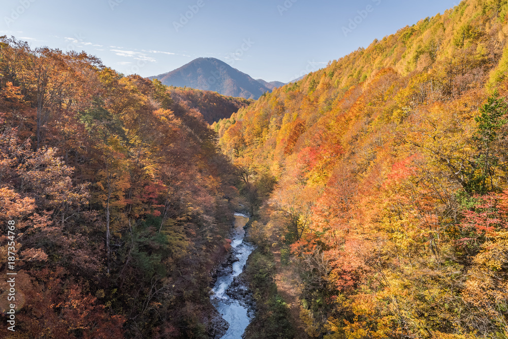 秋天的福岛中津川峡谷