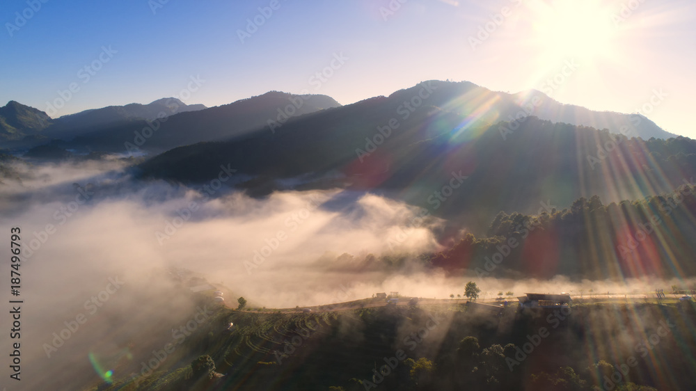 2000年茶园俯视图和Chaing Doi Ang Khang山上漂浮的薄雾