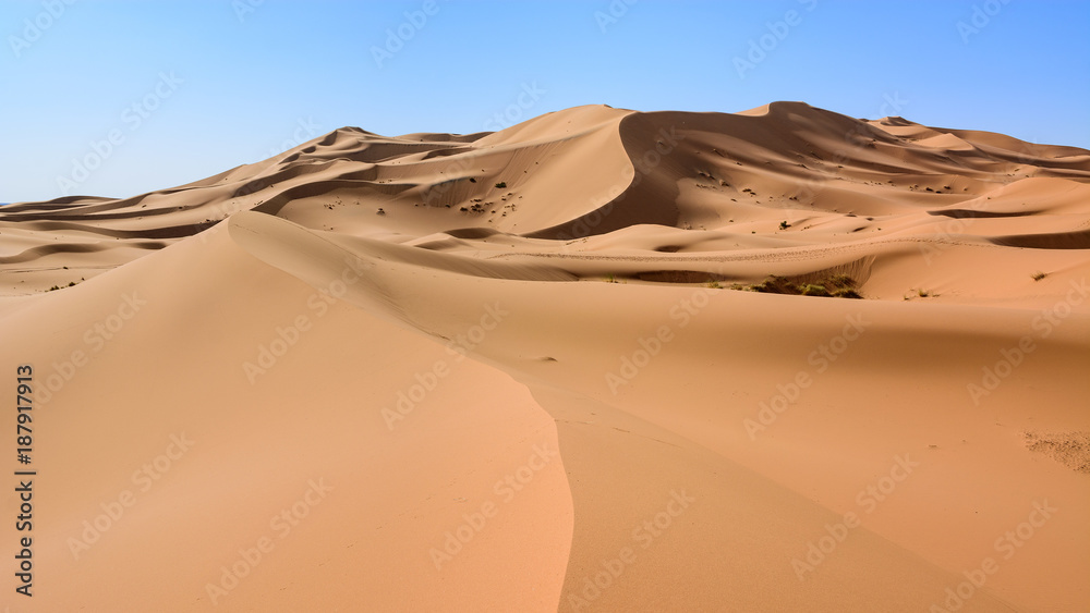 Sahara Desert, Erg Chebi dunes. Merzouga, Morocco