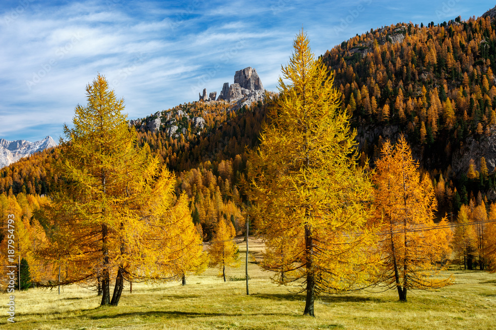 ienne, kolorowe drzewa na łące pod  Monte Averau i Cinque Torri