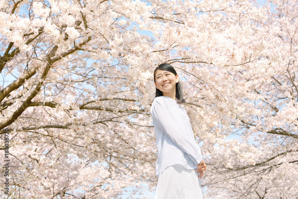 女性　桜