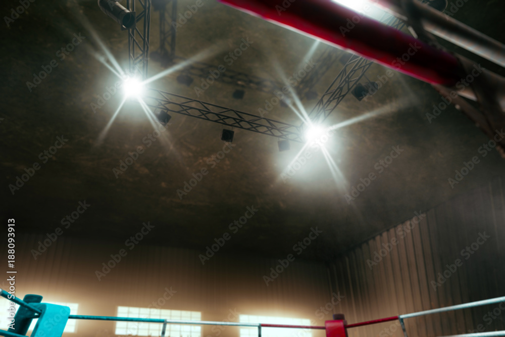 Boxing ring 3D