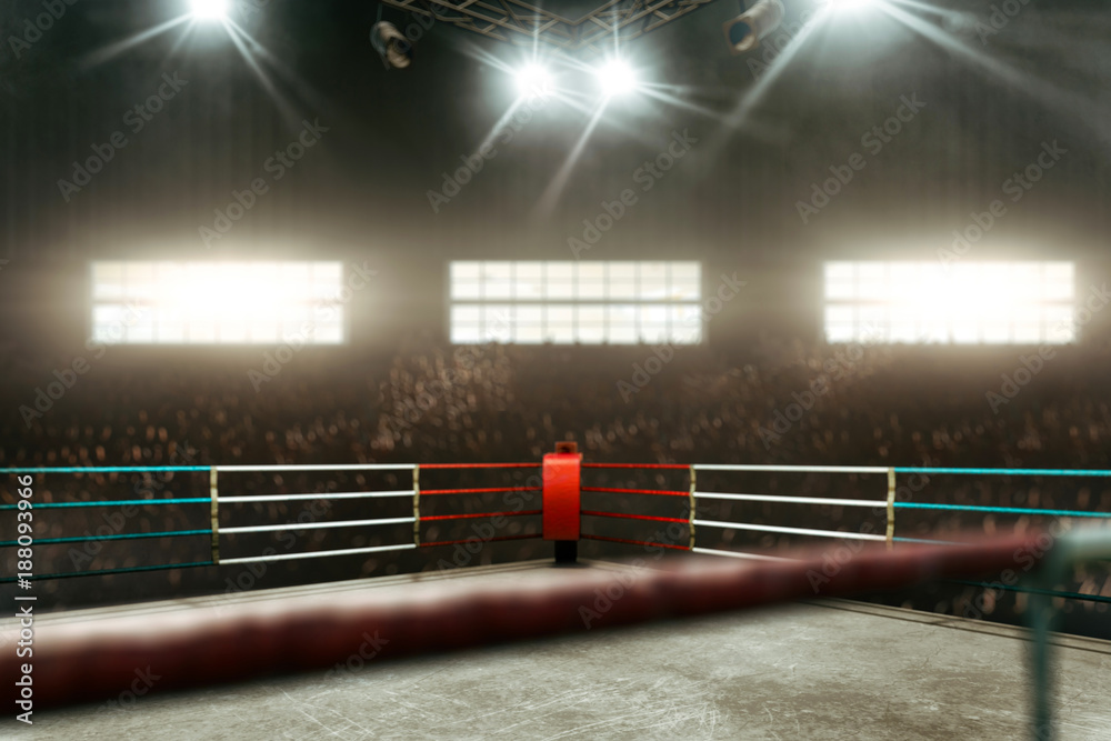 Boxing ring 3D