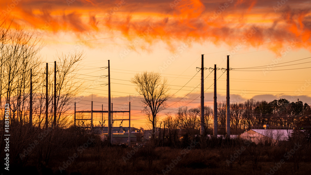 Tree surrounded by Power Lines Silhouette Against A Beautiful Sunset Sky