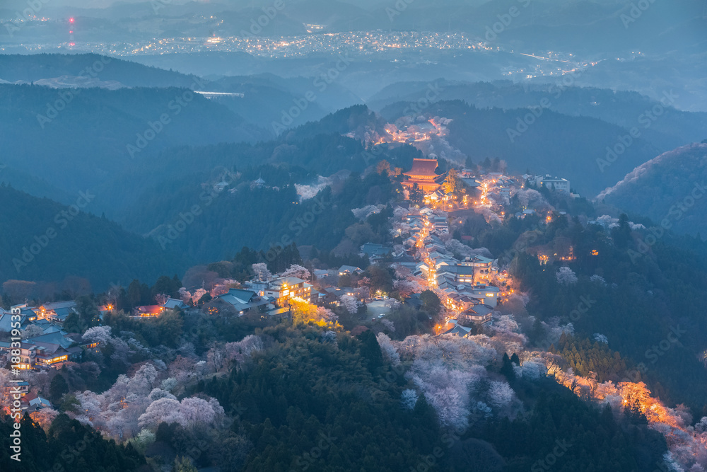 吉野山樱花点亮。日本最著名的奈良县吉野山