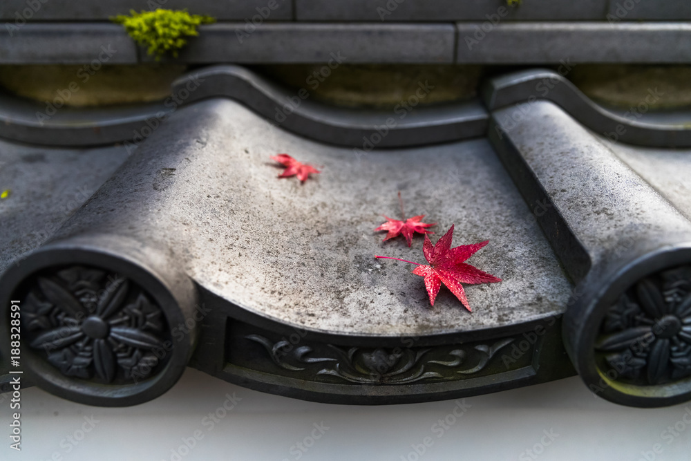 Red maple leaf falled on temple roof