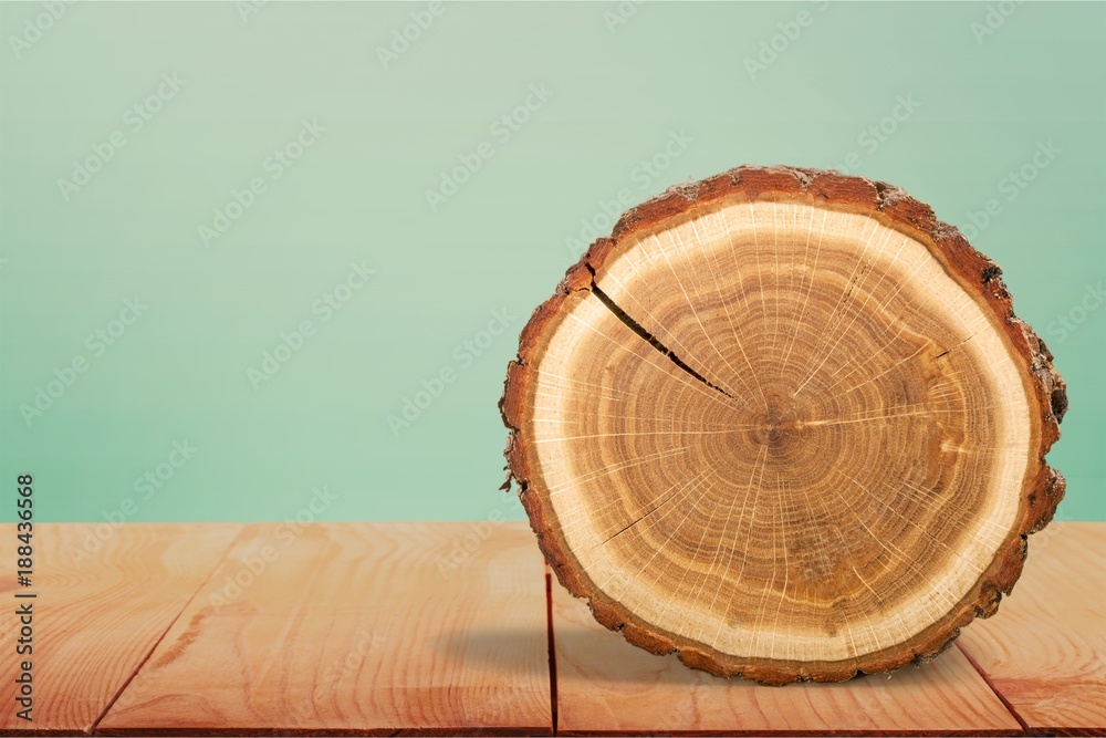 Tree ring.