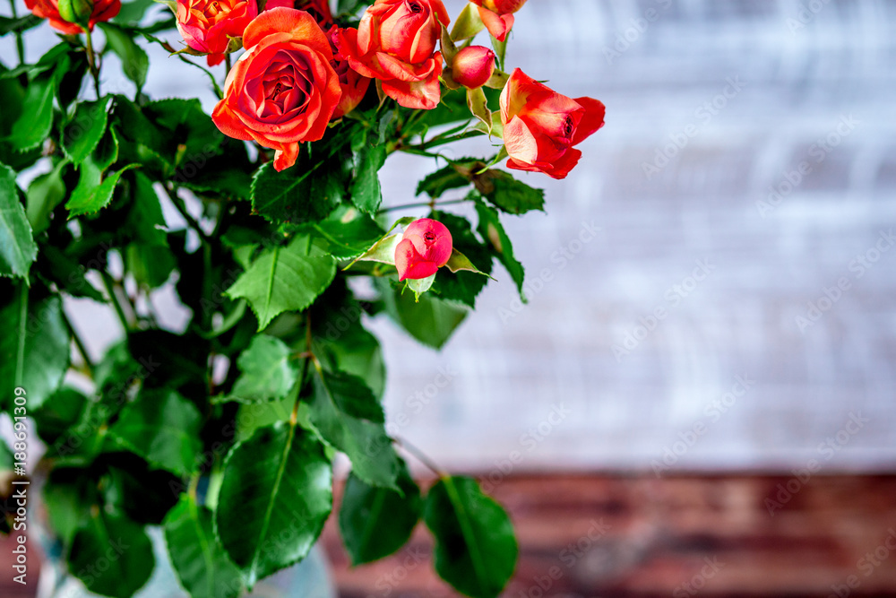 Bunch of fresh rose flowers on wall background mock up