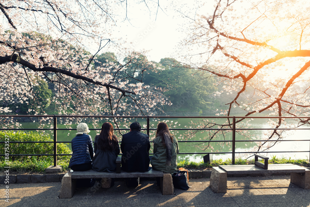 日本东京，樱花盛开，人们众多。