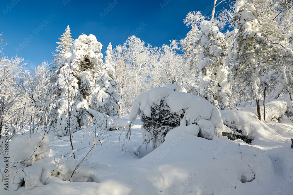 中国雪乡柔和的雾凇和雪景。