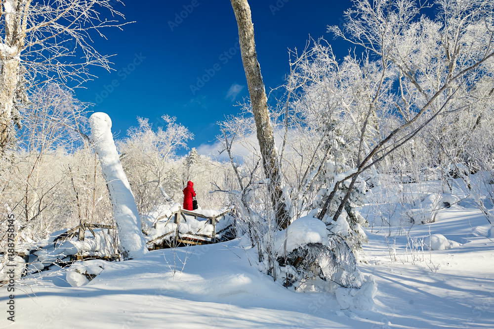 The tourists in the Chinas snow town