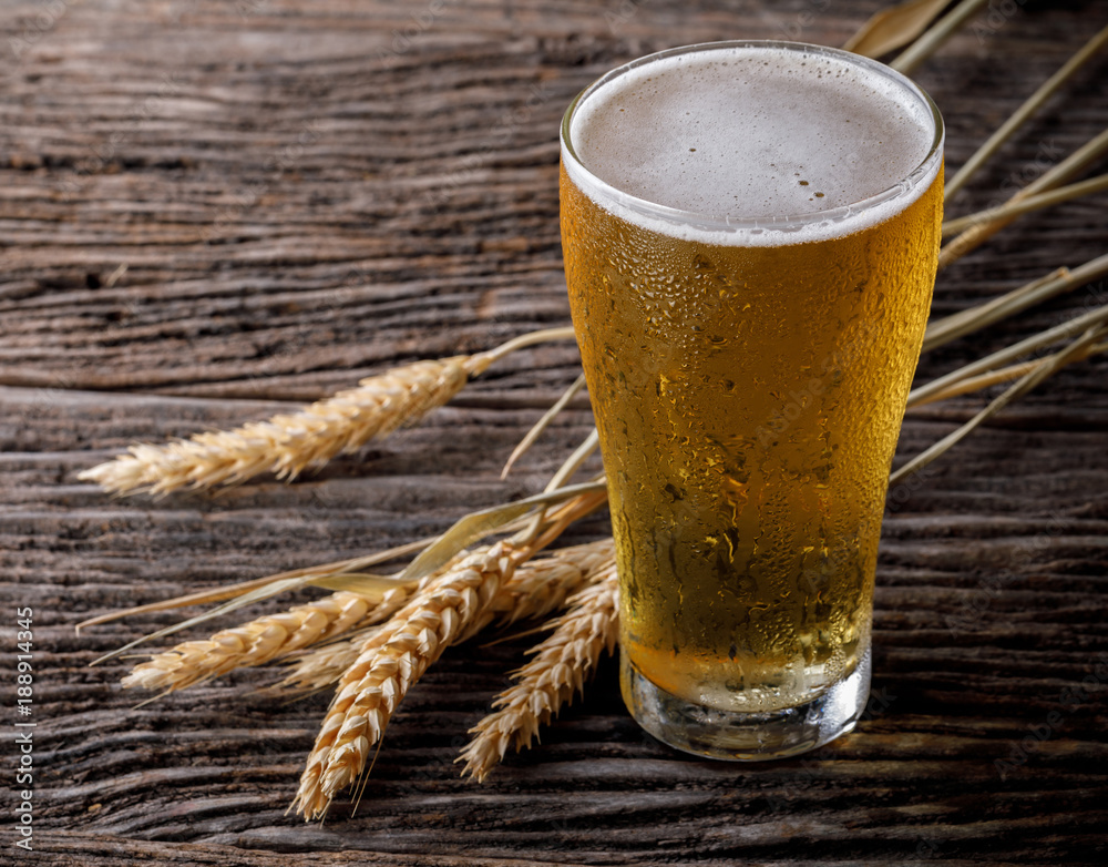 Glasses of light beer with barley on wooden table. Two glass of beer with wheat on wooden table. Vin