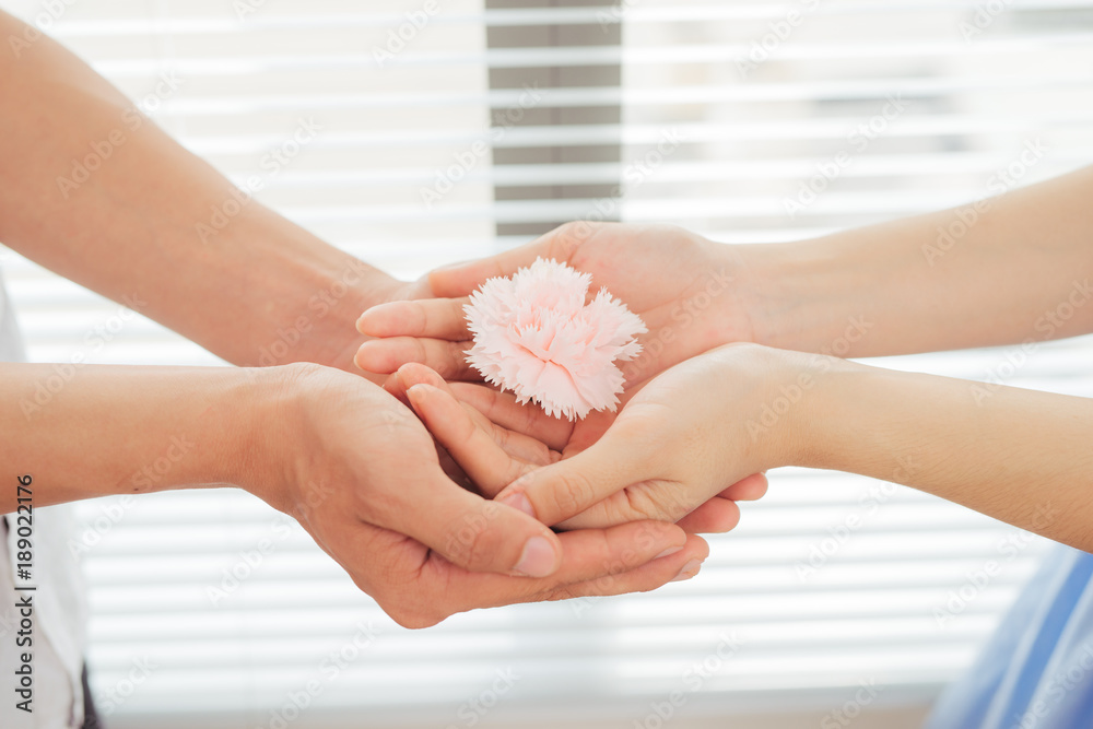 Couple in love. Man and woman hand over pink flower