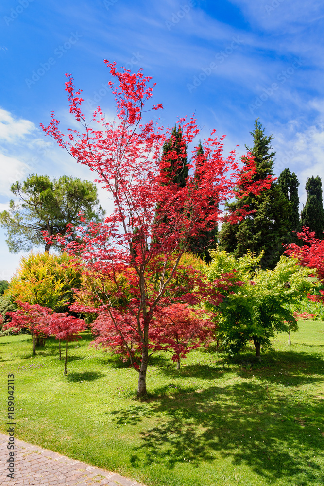 Sigurta Park, Włochy