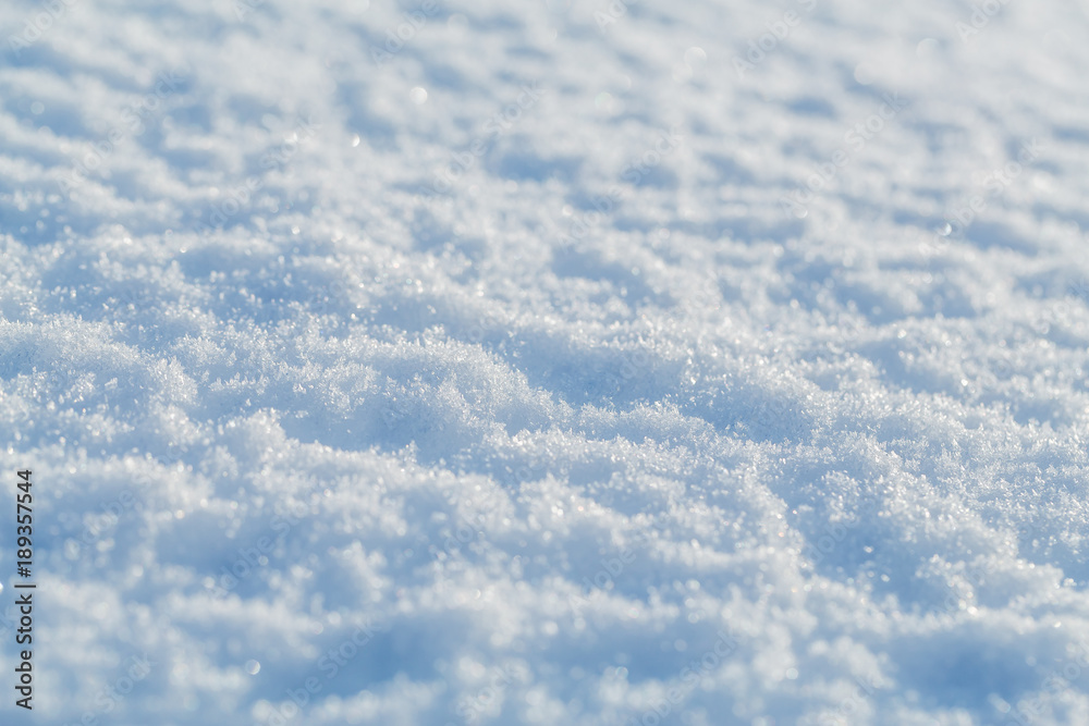 朝まで降った新雪の表面