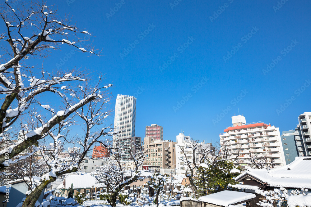 新雪が積もった東京の街角