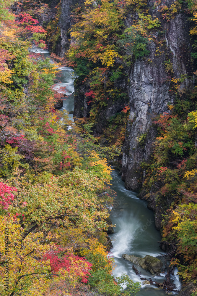 Naruko峡谷，东北地区风景最美的峡谷之一，位于宫城县西北部