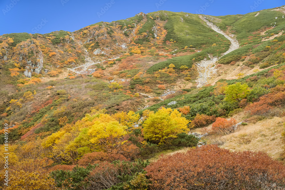 小松竹峰是日本中部阿尔卑斯山脉的最高峰，海拔2956米。