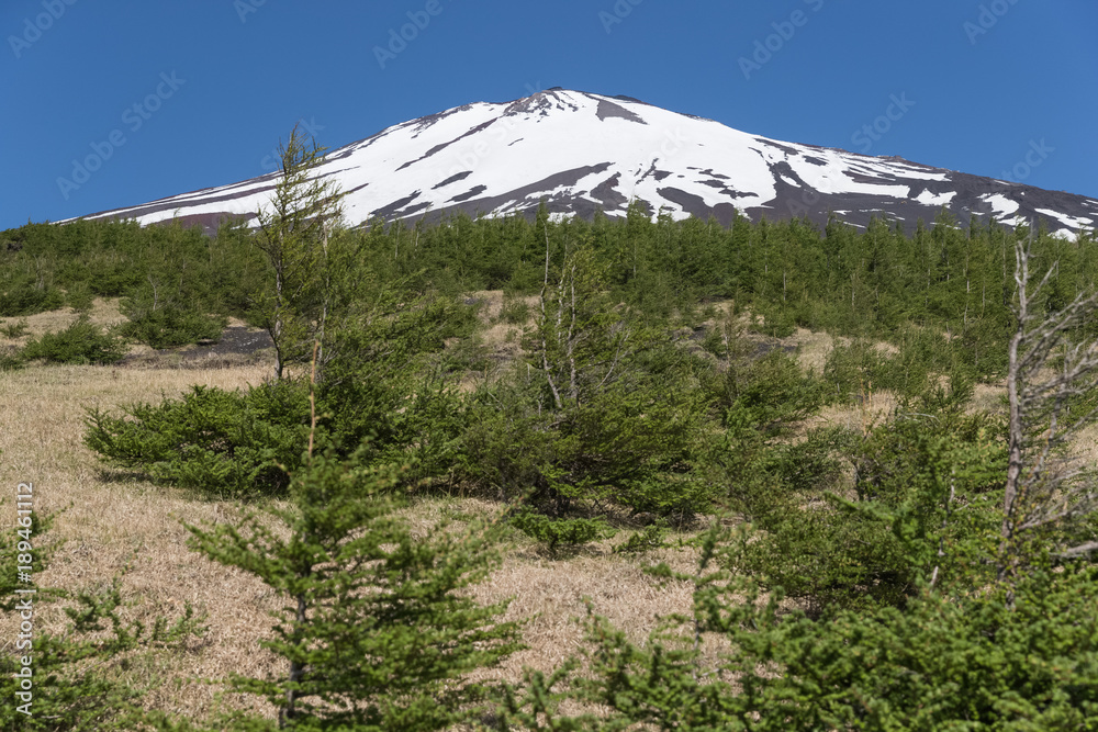 富士山之巅，雪与春天的富士山自然休闲林径