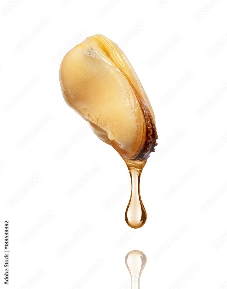 Mussel in oil close-up on white background