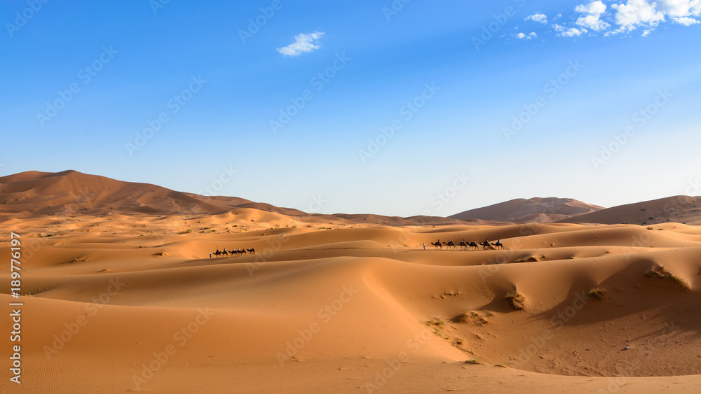 Wydmy Erg Chebbi. Sahara