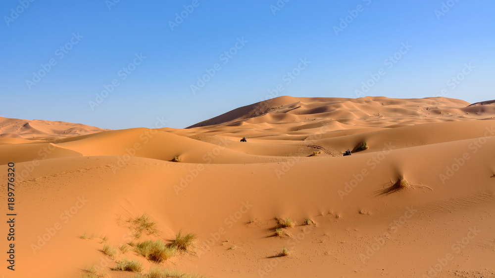 Wydmy Erg Chebbi. Sahara